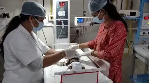 Newborn Placed Alive in India Struggles for Existence
