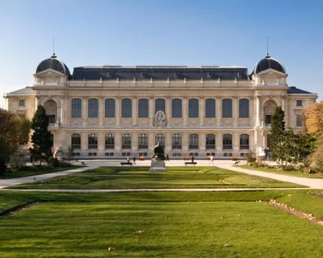 Historic Gold Specimens Taken in Bold Raid at France's National Institution